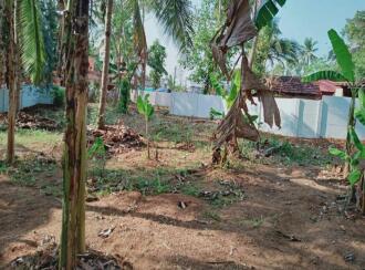 Residential House Villa for Sale in Palakkad, Nemmara, Kanimangalam