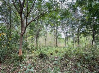 Residential Land for Sale in Thrissur, Thiruvilwamala, Thiruvilwamala, Pattipparmbu