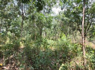 Residential Land for Sale in Thrissur, Thiruvilwamala, Thiruvilwamala, Pattipparmbu