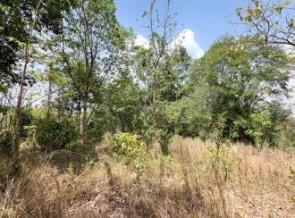Residential Land for Sale in Thrissur, Thiruvilwamala, Thiruvilwamala, Pattipparmbu