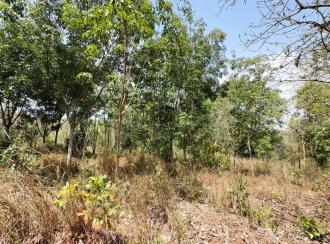 Residential Land for Sale in Thrissur, Thiruvilwamala, Thiruvilwamala, Pattipparmbu