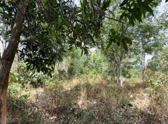 Residential Land for Sale in Thrissur, Thiruvilwamala, Thiruvilwamala, Pattipparmbu