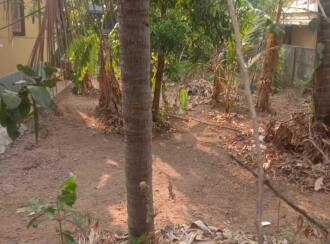 Residential House Villa for Sale in Palakkad, Palakkad, Palakkad town, Kalkeppully