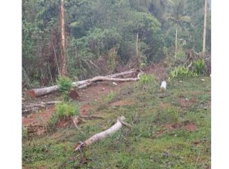 Residential Land for Sale in Pathanamthitta, Thiruvalla, Thiruvalla town, Kadamankulam, Kalluppara