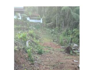 Residential Land for Sale in Pathanamthitta, Thiruvalla, Thiruvalla town, Kadamankulam, Kalluppara