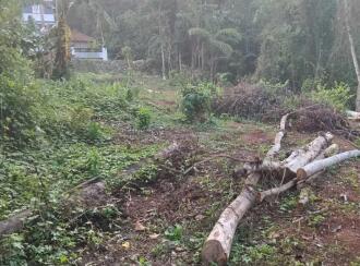Residential Land for Sale in Pathanamthitta, Thiruvalla, Thiruvalla town, Kadamankulam, Kalluppara