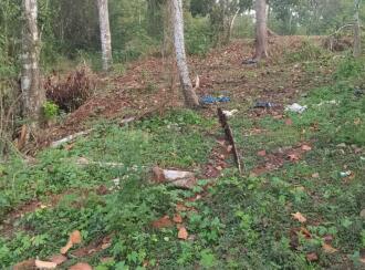 Residential Land for Sale in Pathanamthitta, Thiruvalla, Thiruvalla town, Kadamankulam, Kalluppara