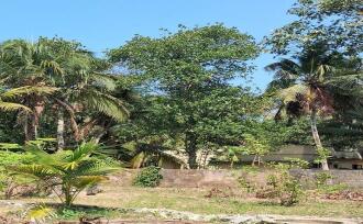 Residential Land for Sale in Trivandrum, Thiruvananthapuram, All Saints College