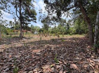 Residential House Villa for Sale in Alleppey, Mavelikara, Mavelikkara, Eravankara