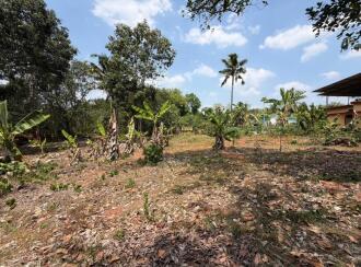 Residential House Villa for Sale in Alleppey, Mavelikara, Mavelikkara, Eravankara