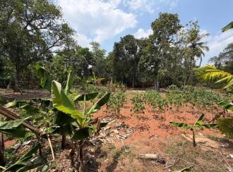 Residential House Villa for Sale in Alleppey, Mavelikara, Mavelikkara, Eravankara