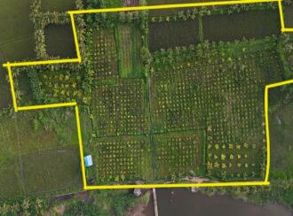 Agricultural Land for SalePalakkad, Alathur, Kunisseri
