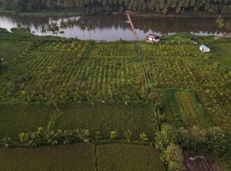 Agricultural Land for Sale in Palakkad, Alathur, Kavasseri, Oppo Kavasseri water pump house