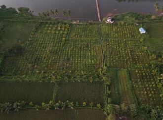 Agricultural Land for Sale in Palakkad, Alathur, Kavasseri, Oppo Kavasseri water pump house