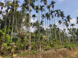 Residential Land for Sale in Wayanad, Sulthan bathery, Sultan Bathery, Le Eden Resorts, Beside Pallipadi, Odappallam Road, Sulthanbathery, Wayanad