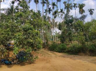 Residential Land for Sale in Wayanad, Sulthan bathery, Sultan Bathery, Le Eden Resorts, Beside Pallipadi, Odappallam Road, Sulthanbathery, Wayanad