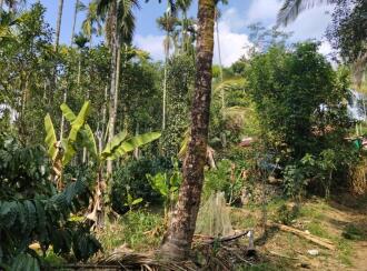 Residential Land for Sale in Wayanad, Sulthan bathery, Sultan Bathery, Le Eden Resorts, Beside Pallipadi, Odappallam Road, Sulthanbathery, Wayanad