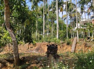 Residential Land for Sale in Wayanad, Sulthan bathery, Sultan Bathery, Le Eden Resorts, Beside Pallipadi, Odappallam Road, Sulthanbathery, Wayanad