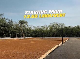 Residential Land for Sale in Trivandrum, Thiruvananthapuram, Mangalapuram, https://maps.app.goo.gl/FzUq4Lb4Dyy1ECdCA