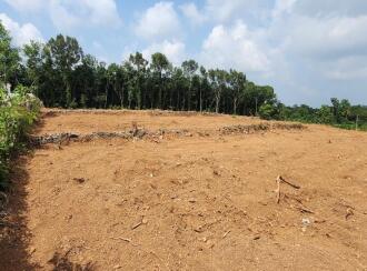 Residential Land for Sale in Kottayam, Manarcadu, Manarcadu, 6 th Mile near to ARYA SALKARA