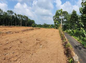 Residential Land for Sale in Kottayam, Manarcadu, Manarcadu, 6 th Mile near to ARYA SALKARA