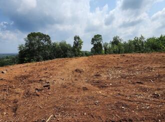 Residential Land for Sale in Kottayam, Manarcadu, Manarcadu, 6 th Mile near to ARYA SALKARA