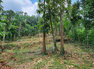 Residential Land for Sale in Kottayam, Kottayam town, Puthuppally, Erumapetty