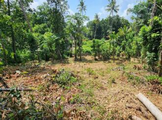 Residential Land for Sale in Kottayam, Kottayam town, Puthuppally, Erumapetty