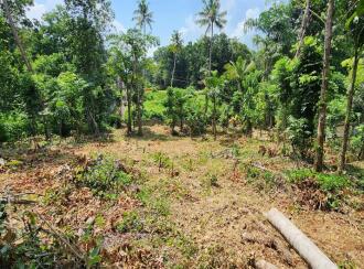 Residential Land for Sale in Kottayam, Kottayam town, Puthuppally, Erumapetty