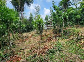 Residential Land for Sale in Kottayam, Kottayam town, Puthuppally, Erumapetty