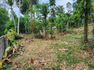 Residential Land for Sale in Kottayam, Kottayam town, Puthuppally, Erumapetty