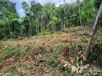 Residential Land for Sale in Kottayam, Kottayam town, Puthuppally, Erumapetty