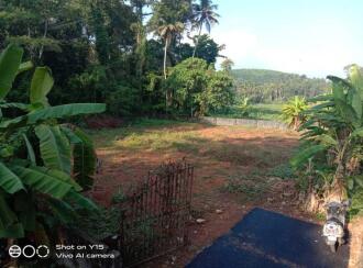 Residential Land for Sale in Kottayam, Changanassery, Mammoodu, Kochuroad