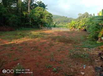 Residential Land for Sale in Kottayam, Changanassery, Mammoodu, Kochuroad