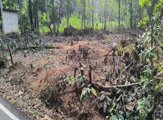 വാസയോഗ്യമായ ഭൂമി വില്പനയ്ക്ക് Trivandrum, Parassala, Parasuvaikkal, Alampara