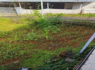 Residential Land for Sale in Ernakulam, Aluva, Chunangamvely, 200 m from St Joseph's Zero-Malabar Church Chunagamveli. Ernakulam