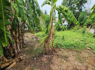 Residential Land for Sale in Kottayam, Kottayam town, Eranjal, Eranjal