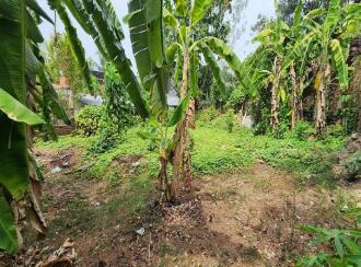 Residential Land for Sale in Kottayam, Kottayam town, Eranjal, Eranjal