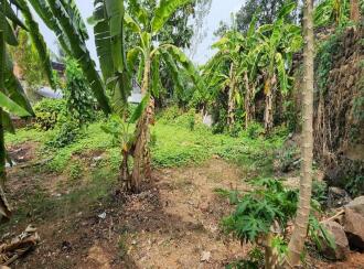 Residential Land for Sale in Kottayam, Kottayam town, Eranjal, Eranjal