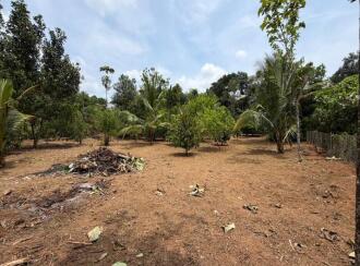 Commercial Building for Sale in Pathanamthitta, Kozhencherry, Kozhencherry, Kuriyanoor