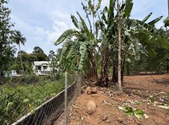 Commercial Building for Sale in Pathanamthitta, Kozhencherry, Kozhencherry, Kuriyanoor