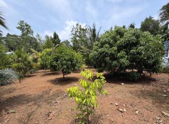 Commercial Building for Sale in Pathanamthitta, Kozhencherry, Kozhencherry, Kuriyanoor