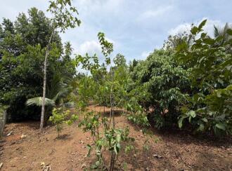 Commercial Building for Sale in Pathanamthitta, Kozhencherry, Kozhencherry, Kuriyanoor