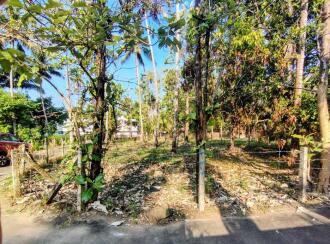 Residential Land for Sale in Thrissur, Thrissur, Venkitangu