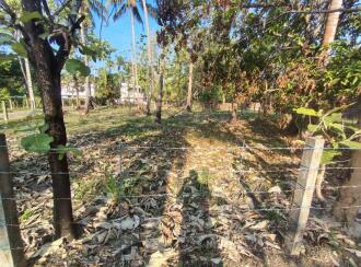 Residential Land for Sale in Thrissur, Thrissur, Venkitangu