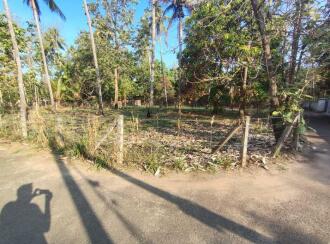 Residential Land for Sale in Thrissur, Thrissur, Venkitangu