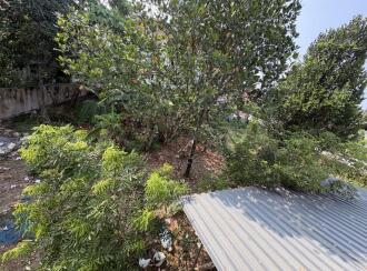 Commercial Land for Rent in Ernakulam, Angamaly, Angamaly, Moonjely house CN/35 Angamaly 1st street 1st plot