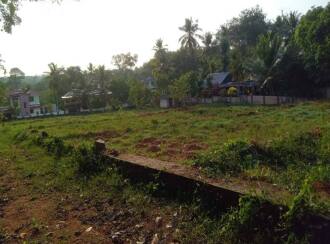 Residential Land for Sale in Pathanamthitta, Mallappally, Kunnamthanam, Near chakkumoodu school kunnamtanam