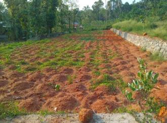 Residential Land for Sale in Pathanamthitta, Mallappally, Kunnamthanam, Near chakkumoodu school kunnamtanam