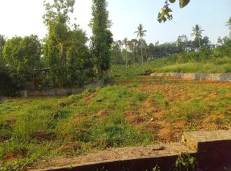Residential Land for Sale in Pathanamthitta, Mallappally, Kunnamthanam, Near chakkumoodu school kunnamtanam